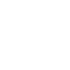 icono coche